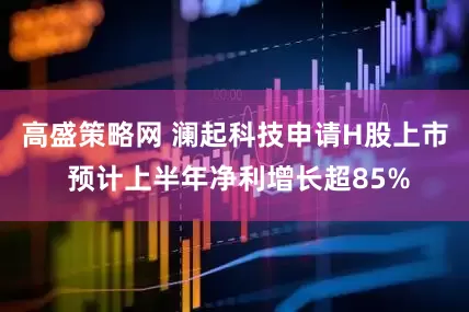 高盛策略网 澜起科技申请H股上市 预计上半年净利增长超85%