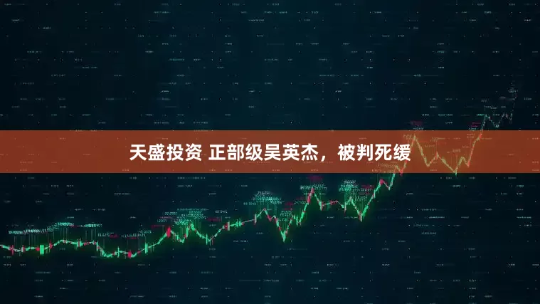 天盛投资 正部级吴英杰，被判死缓