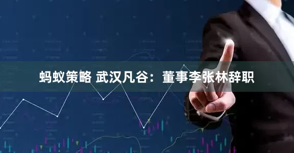 蚂蚁策略 武汉凡谷：董事李张林辞职