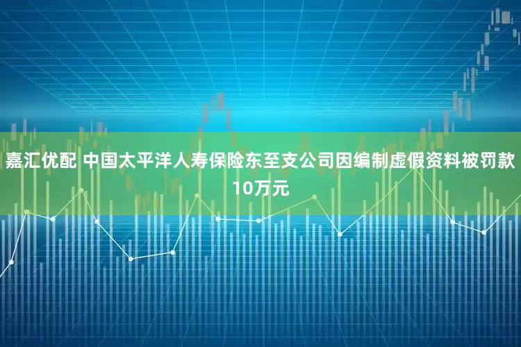 嘉汇优配 中国太平洋人寿保险东至支公司因编制虚假资料被罚款10万元