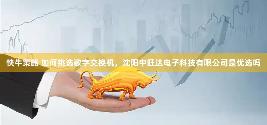 快牛策略 如何挑选数字交换机，沈阳中旺达电子科技有限公司是优选吗